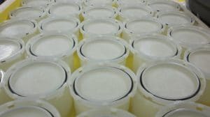 Soil_Diagnotics_Container_297x229